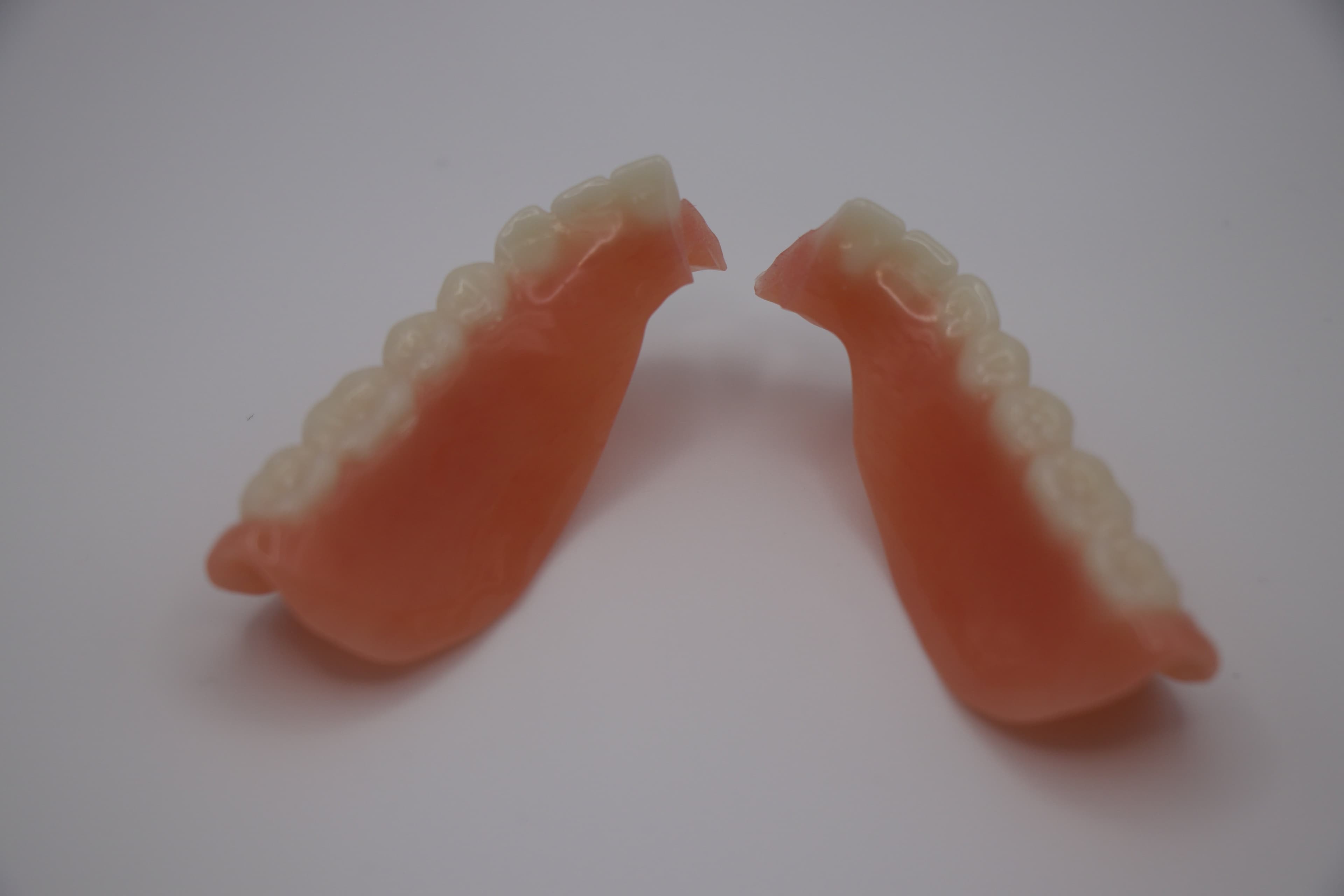 Partial Denture